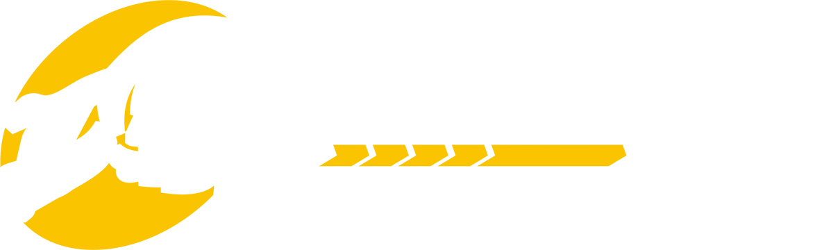 BisãoTec